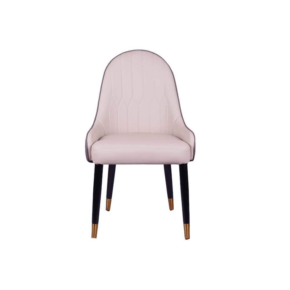 Lighten Multicolor Restaurant Dining Chair With Wooden Legs