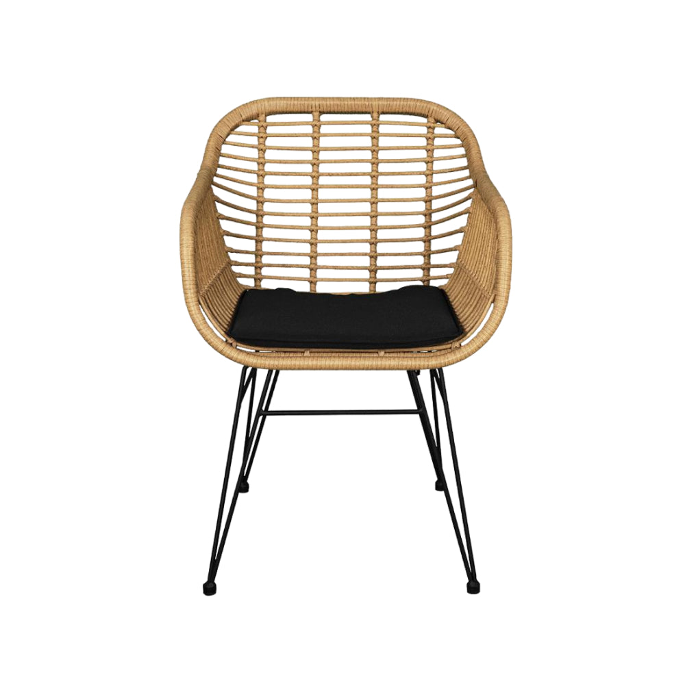 Canva Outdoor Pvc Cane Chair